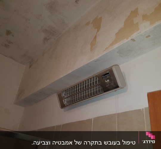 קיר עם קילופי צבע ותקרה מוכתמת